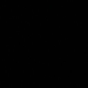 Meet your Posher, Franklin